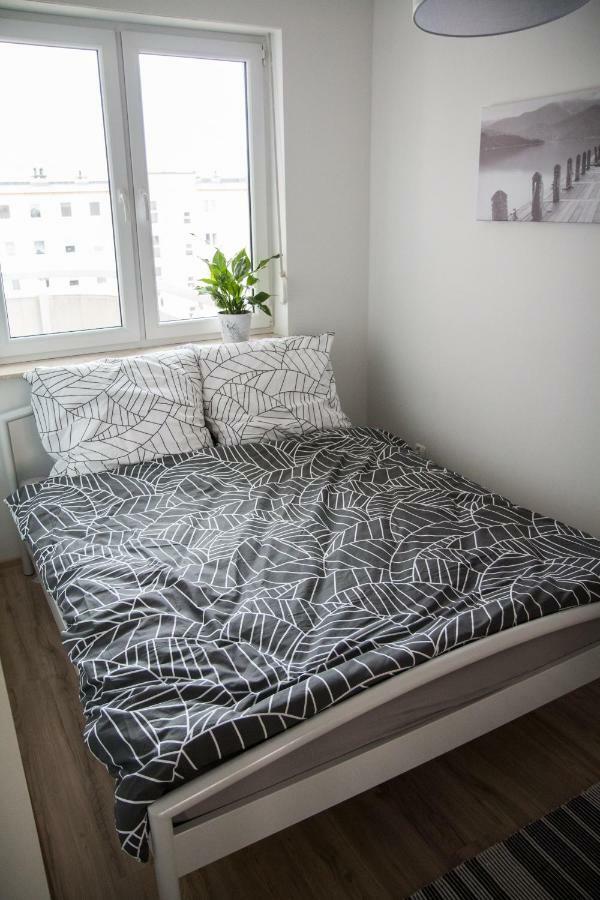 Apartament F&J Torun Bagian luar foto